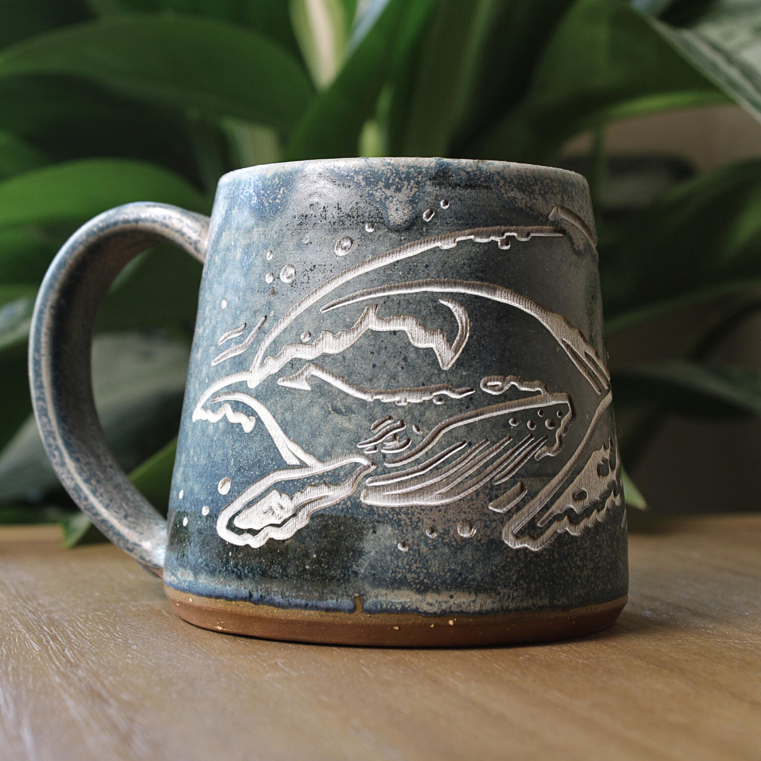 Humpback Whale