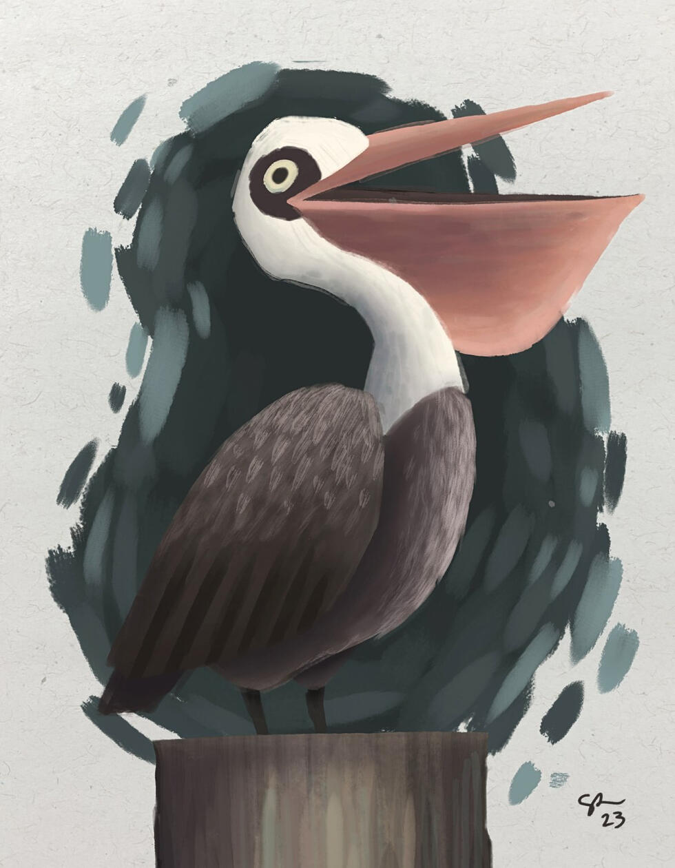 Pelican