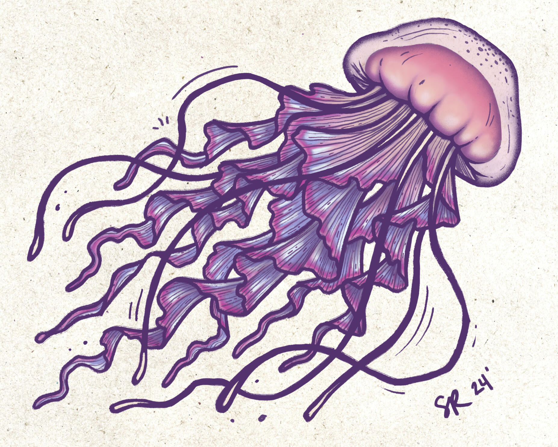 Jellyfish