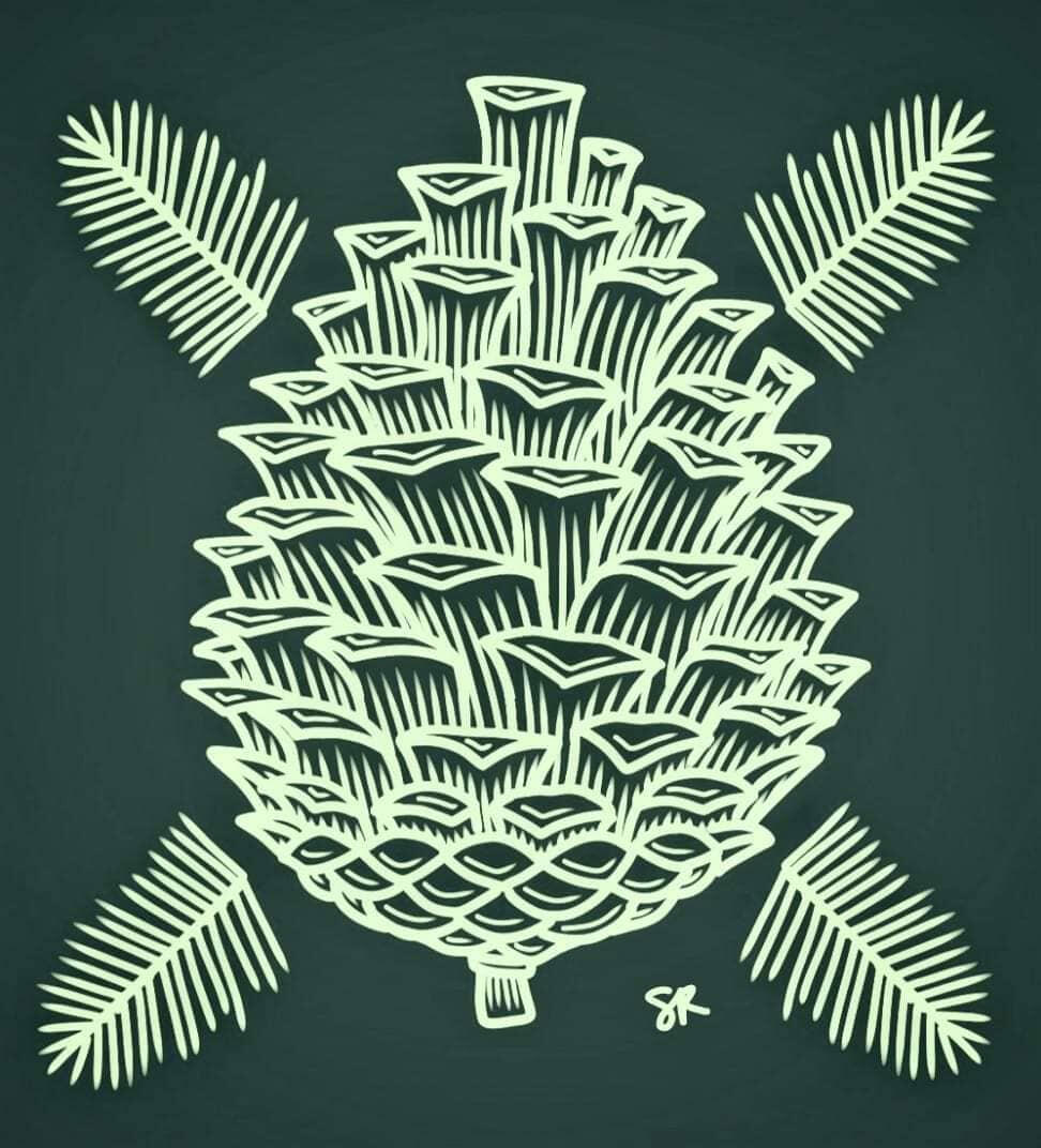 Pinecone
