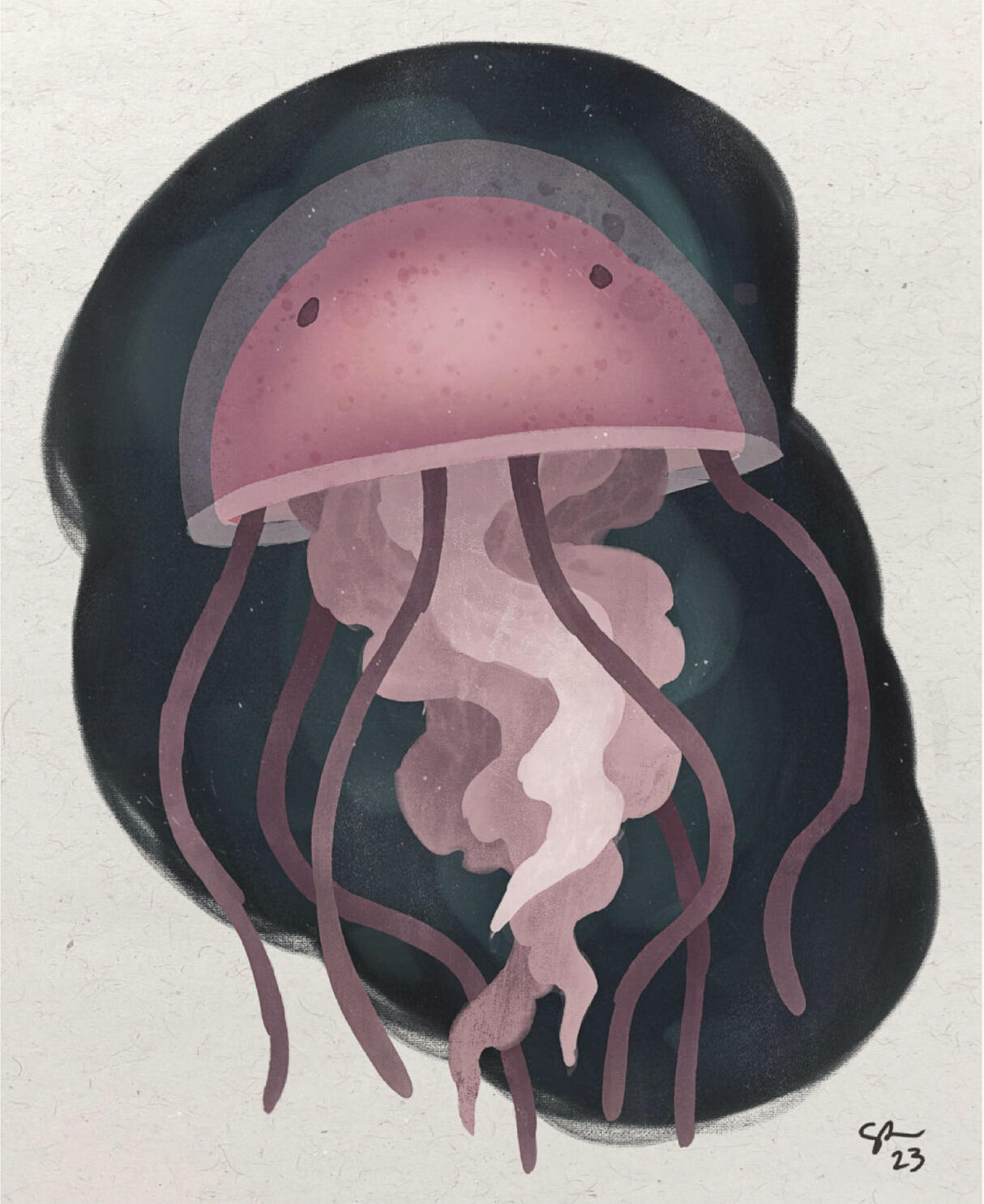 Jellyfish