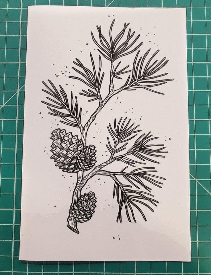Pine Branch